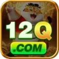 12q Elite APK v3.1.1
